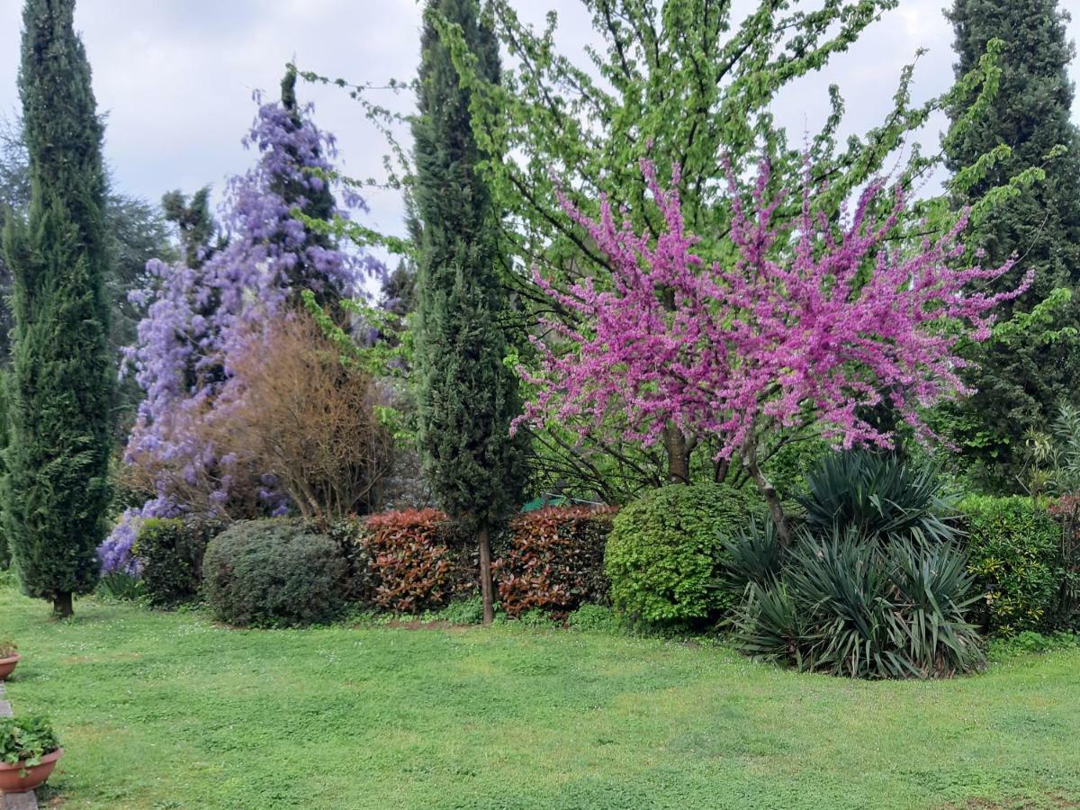 Il Fienile Del Colle Villa Пеша Екстериор снимка